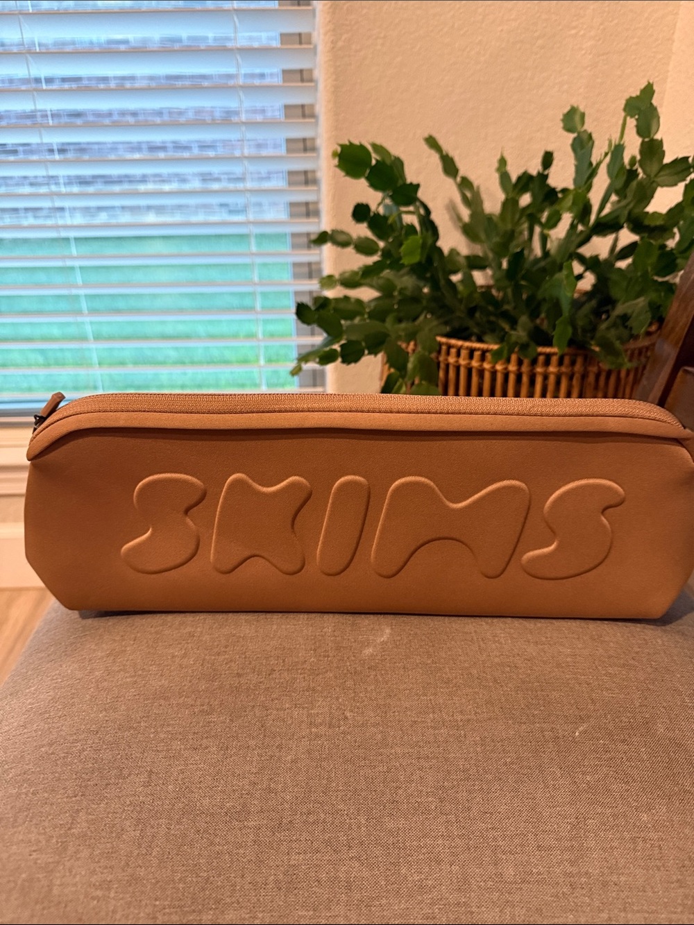 SKIMS accessory/travel pouch
